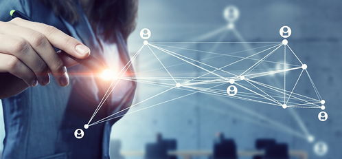 法國維萊爾國際商學(xué)院MBA報(bào)考條件為何限定工作經(jīng)驗(yàn)，及網(wǎng)絡(luò)技術(shù)服務(wù)類申請者優(yōu)勢